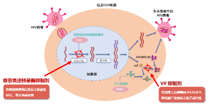 �������ǲ�(ZLKS)����Ψһ�ٷ���վ